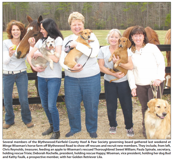 Read more about the article The Big Hearts of Hoof and Paw