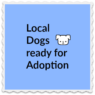 Read more about the article Available Adoptions