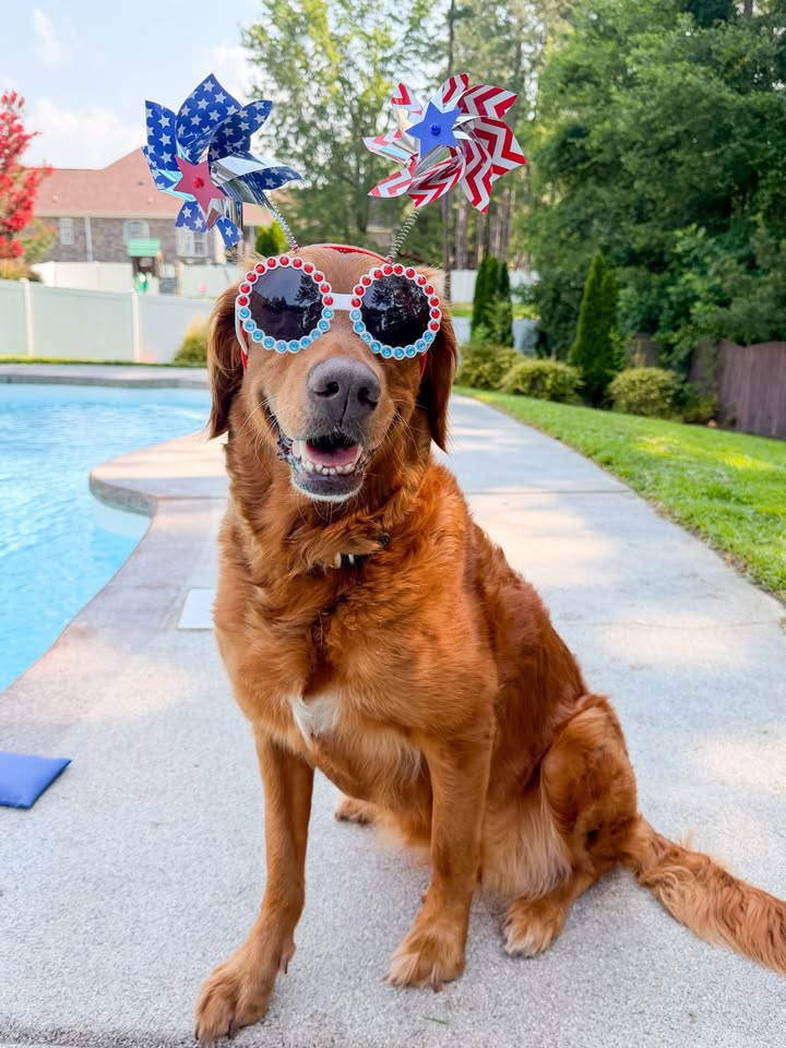 HoofandPaw SC