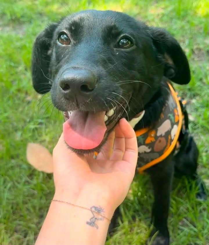 HoofandPaw SC