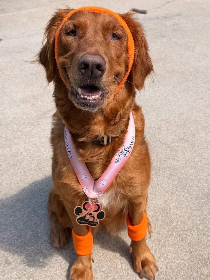 HoofandPaw SC